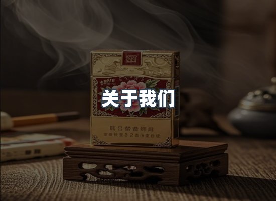 专业团队